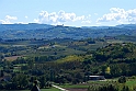 Montegrosso d'Asti_019
